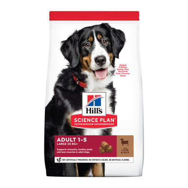 Hill's Large Adult Science Plan Cordero pienso para perros 